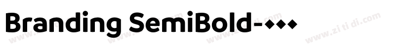 Branding SemiBold字体转换